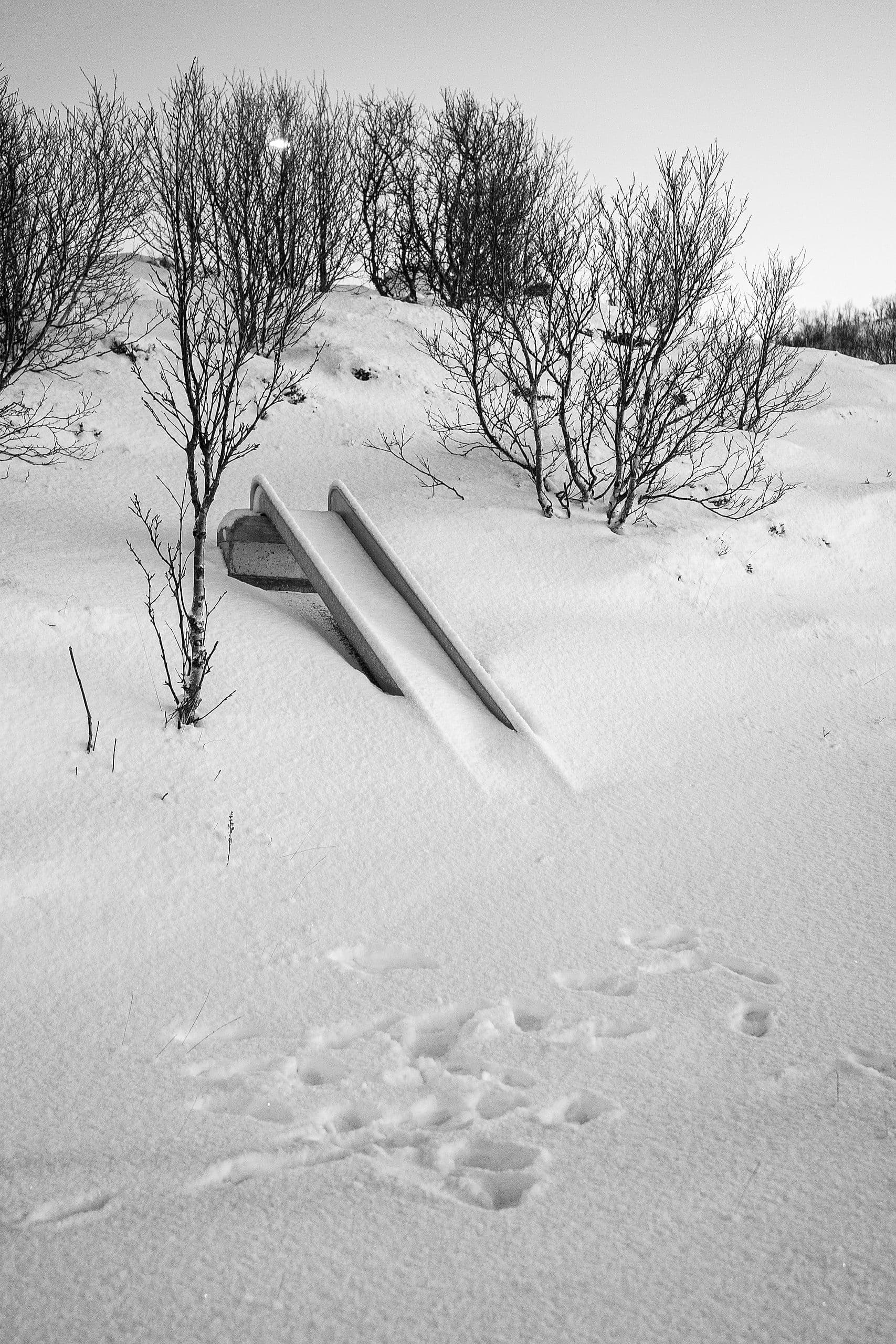 Out of Season